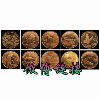 动物320-320.jpg